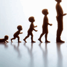 Psychologie du développement