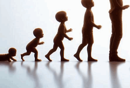 Psychologie du développement Psychologie du développement